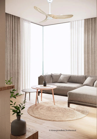 Stropni ventilator CasaFan ECO GENUINO 122 cm – Premium kvaliteta