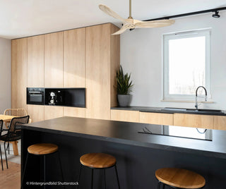 Stropni ventilator CasaFan ECO GENUINO 122 cm – Premium kvaliteta