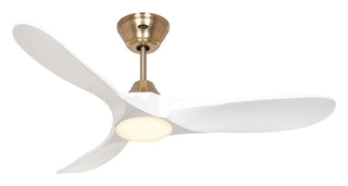 Stropni ventilator s rasvjetom CasaFan ECO GENUINO-L 122 cm