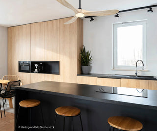 Stropni ventilator s rasvjetom CasaFan ECO GENUINO-L 152 cm