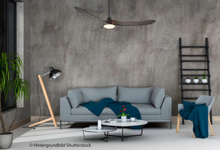 Stropni ventilator s rasvjetom CasaFan ECO GENUINO-L 152 cm