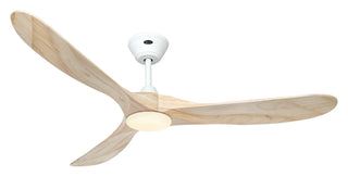 Stropni ventilator s rasvjetom CasaFan ECO GENUINO-L 152 cm