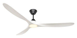 Stropni ventilator s rasvjetom CasaFan ECO GENUINO-L 180 cm