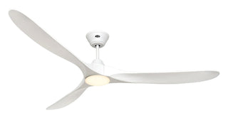 Stropni ventilator s rasvjetom CasaFan ECO GENUINO-L 180 cm