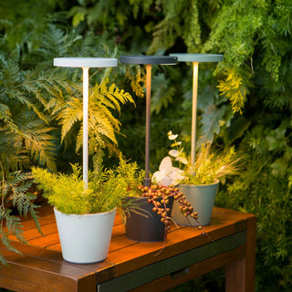 Prijenosna bežična lampa Zafferano Poldina Reverso LED Ø 11 h 35 cm