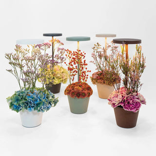 Prijenosna bežična lampa Zafferano Poldina Reverso LED Ø 11 h 35 cm