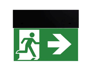 Panik svjetiljka Intelight Directo S M 3H MT IP20 2,5W