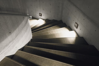 Zidna svjetiljka Lombardo Koi 110 6W