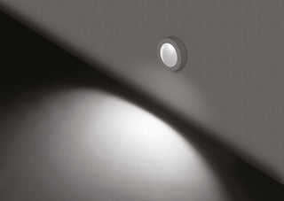 Zidna svjetiljka Lombardo Koi 120 6W