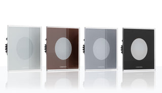 Zidna i stropna LED svjetiljka Lombardo Pin Q 2W