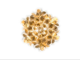 Stropna i zidna lampa Slamp Clizia 32 cm zlatna Mama Non Mama