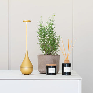 Prijenosna bežična LED stolna lampa Zafferano Dondolina za unutarnju i vanjsku upotrebu